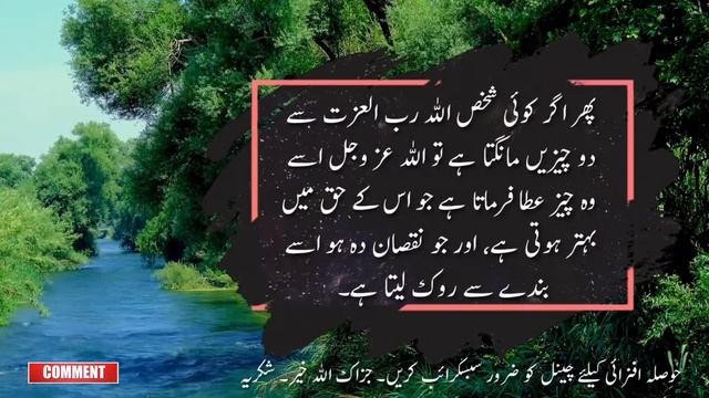 If you wanna success in life follow these Quotes | Hazrat Ali Rz Quotes| Aina tv смотреть онлайн