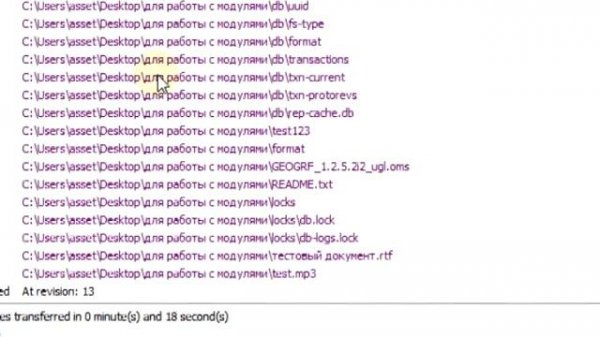 Как работать с Tortoise SVN