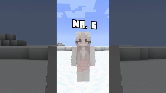 TOP 10 Minecraft WINTER Skins!