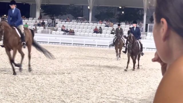Part 2 Ramses and Ginger in the grand arena at region 12 смотреть онлайн
