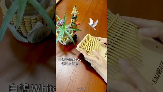 （Kalimba cover ) 白鴿 White Dove/ 你的上好佳 拇指琴版 смотреть онлайн