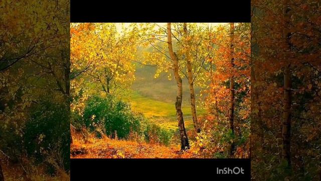 Медленно уходит осень🍁Ласковый Маи смотреть онлайн