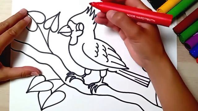 HOW TO DRAW a Cardinal bird - easy drawing for kids - coloring with markers смотреть онлайн