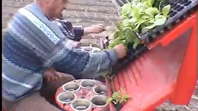 ТЕХНОЛОГИИ: Механизированная посадка рассады