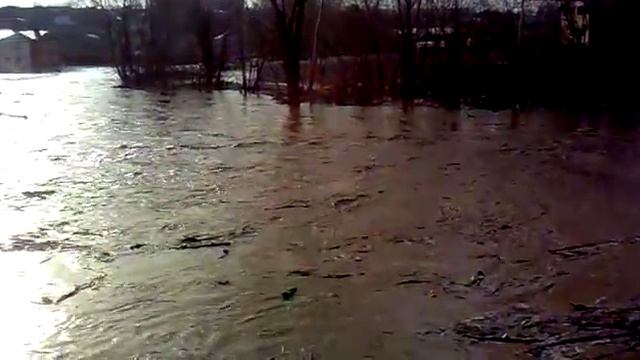 КУКМАРА.р.нурминка.0410.2016. смотреть онлайн