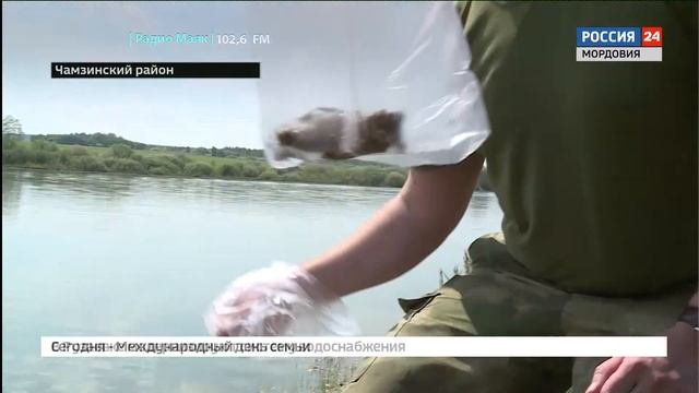 Что стало причиной массовой гибели раков в водоеме села Пичеуры смотреть онлайн