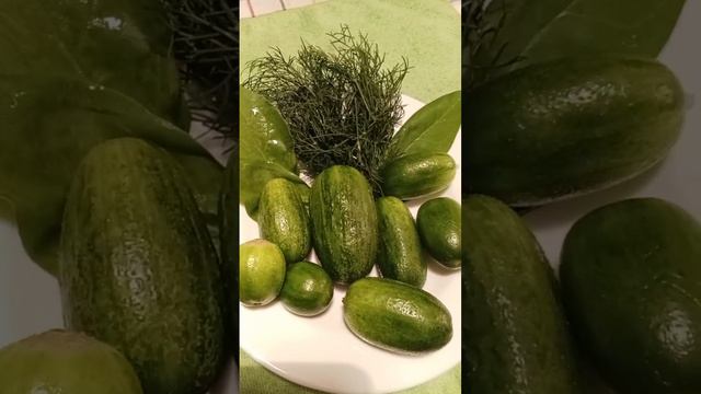 огурчики с дачи