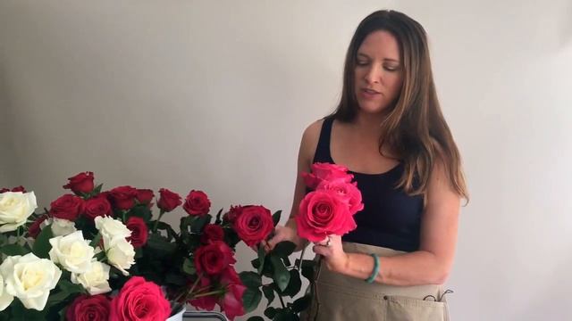 All About Pink Floyd Roses - Flower Moxie Product Video смотреть онлайн