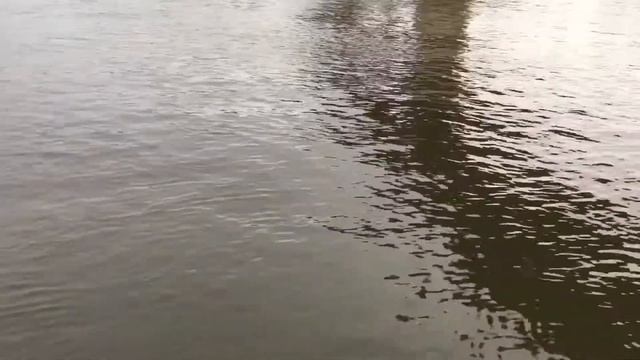 Устье реки Сок в Волгу под строящимся мостом смотреть онлайн