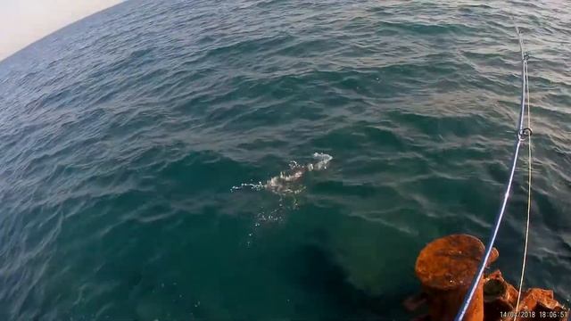 Рыба кролик 2 часть смотреть онлайн