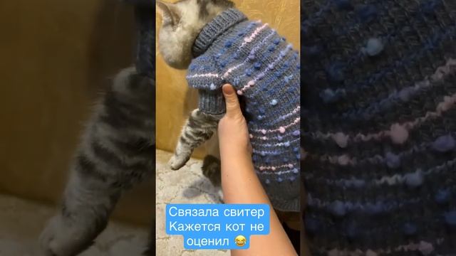 Связала свитер для кота. Свитер для котика. смотреть онлайн