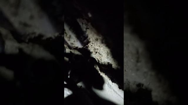 как снять стартер на хендай акцент механика смотреть онлайн