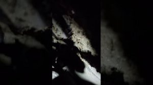 как снять стартер на хендай акцент механика