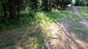 Осенний детектив 2024