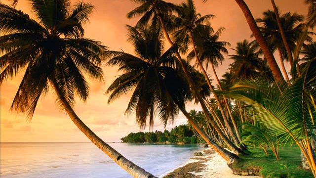 LTN - One Night in Ibiza (Myon and Shane 54 remix) смотреть онлайн