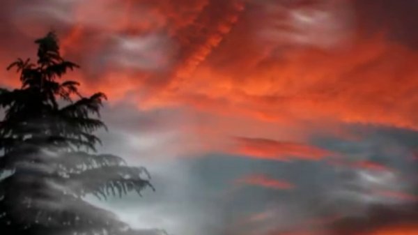 stand by me - fausto papetti - magic saxophone