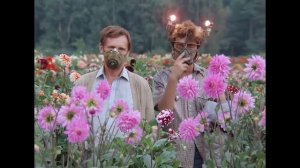 Девочка, вы тут самые умные? Это вам кто-нибудь сказал или вы сами решили?