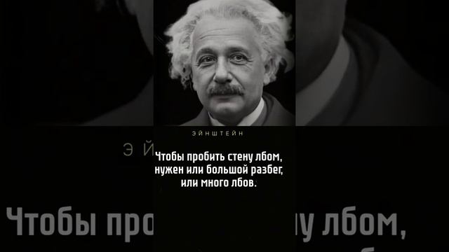 3 цитаты Альберта Эйнштейна смотреть онлайн