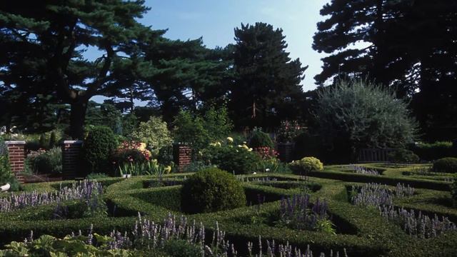 Verbena Basil, New York Botanical Garden by Chesapeake Bay Candle Decorative 2-Wick Jar with Lid смотреть онлайн