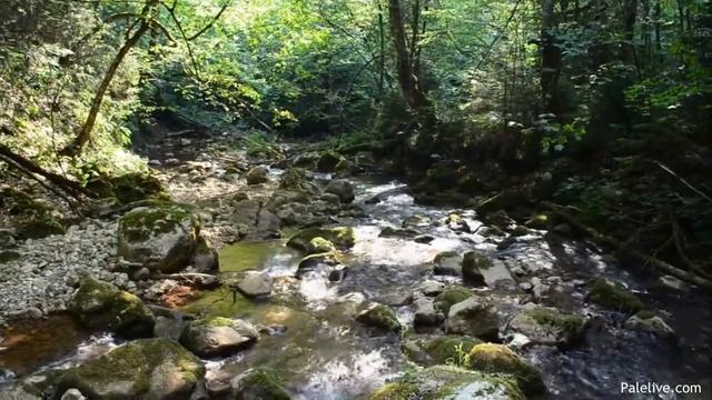 Nikon 5100 test video / 18-55 VR / Vegas 11 / 720p / mp4 upload смотреть онлайн