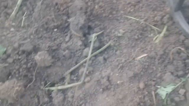 ШУРФ ДОМА . ЧТО МЫ НАШЛИИИИ!!!