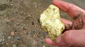 Поиск золота в реке, самородки золотые