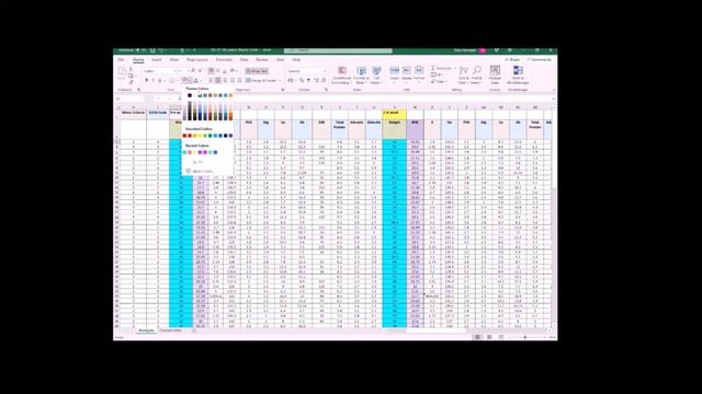 Raw Data cleaning (colouring- cells/columns in MS Excel) смотреть онлайн