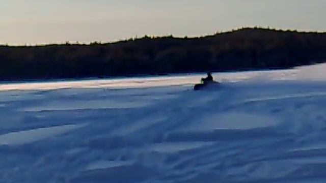arctic cat смотреть онлайн