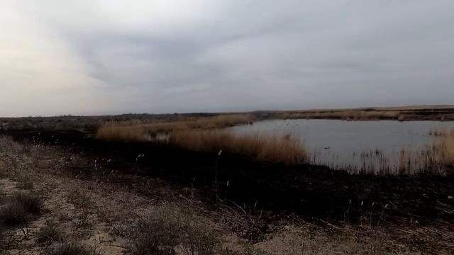 Открытие сезона 2022. Весенняя рыбалка. Сом на блесну. смотреть онлайн