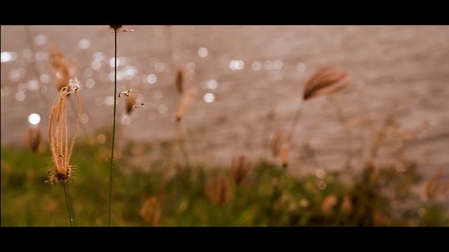 OMD EM5 II VIDEO TEST2 смотреть онлайн