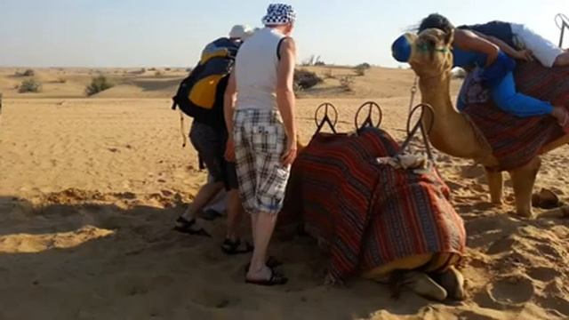 Сафари ч3 Верблюды смотреть онлайн