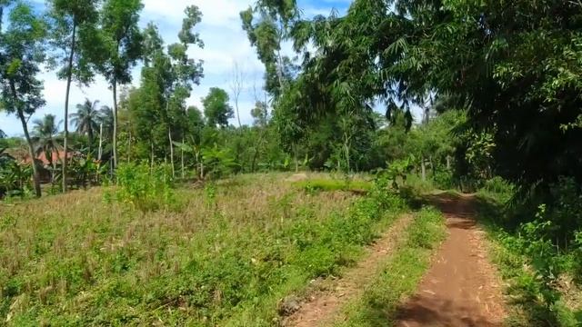 Suasana Kampung. Ciakar Ciwalahir Pedesaan Sunda Jawa Barat Cianjur Selatan смотреть онлайн