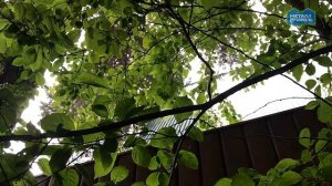 Как сделать забор из сайдинга своими руками