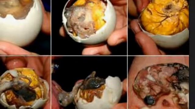 BALUT or no Balut that is the question смотреть онлайн