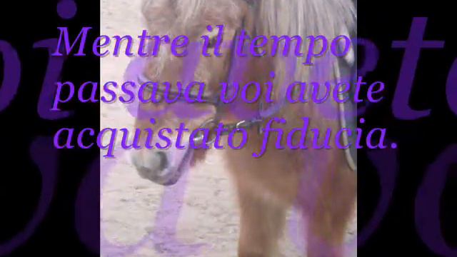 Giorgia e Appaloosa. смотреть онлайн