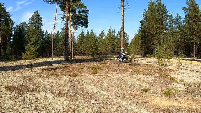 По Поляне на мотоцикле Ямаха Файзер (Yamaha FAZER)