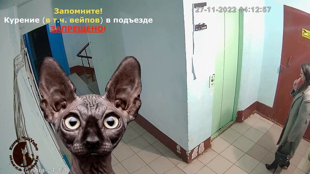 ⛔ Территория совести! ⛔ смотреть онлайн