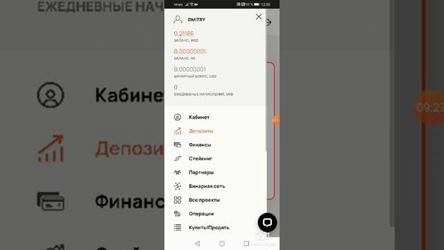 Бинар сообщества WECCO. Обзор кабинета