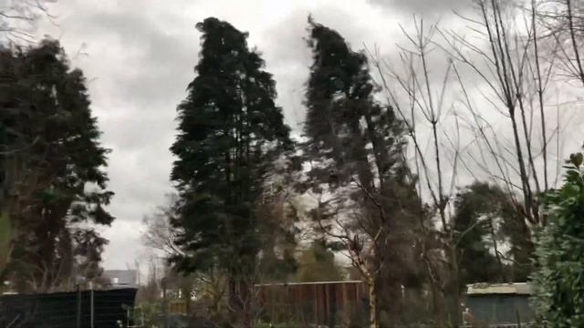 Storm Ciara/Sabine in Belgium. Stuhia Ciara /Sabina ne Belgjike. Sint- Niklaas смотреть онлайн
