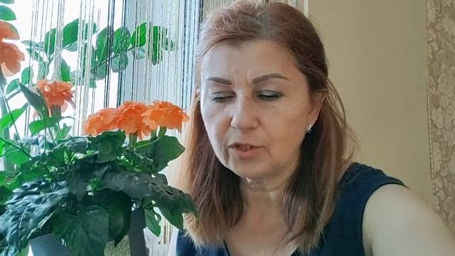 Новинки. Комнатные цветы. Ванильная орхидея,иксора карликовая,кроссандра. смотреть онлайн