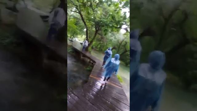 НАЦИОНАЛЬНЫЙ ПАРК КРК - ХОРВАТИЯ, ШИБЕНИК смотреть онлайн