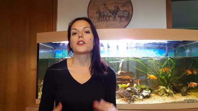 Как повысить личную эффективность. Чемпионат по эффективности. смотреть онлайн