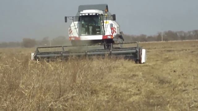 VECTOR 450 Track и TLC100