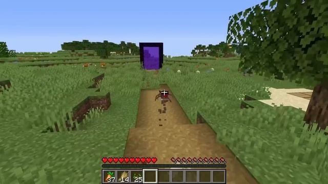 Minecraft Mobs Became Mutant Battle ! Zombe Creeper Enderman Skeleton MONSTER SCHOOL my craft смотреть онлайн