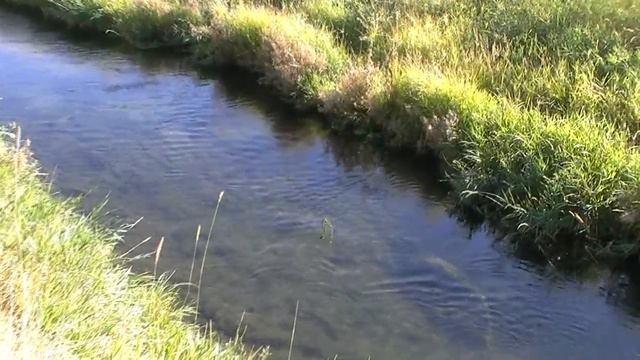Fly Fishing Frenzy | history of sportsman's paradise whites ranch located in paradise utah смотреть онлайн