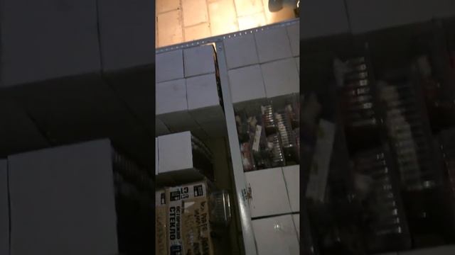 Оптовое производство маток муравья Мессор смотреть онлайн