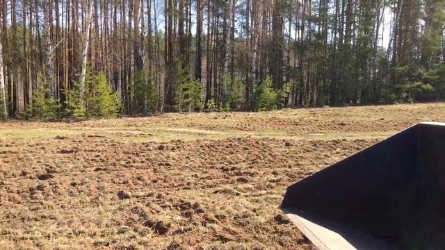 ‼️...в поле растут бутылки... ‼️ смотреть онлайн