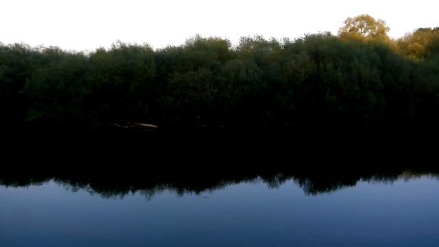 Остров из деревьев на повороте Десны смотреть онлайн