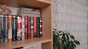 Тур по книжным полкам /Мои книжные полки / Раздача книг