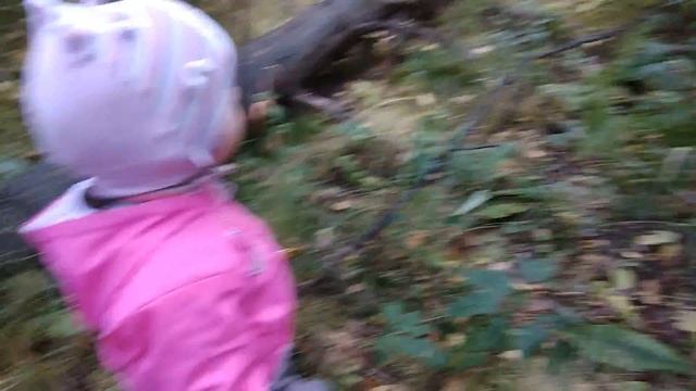 ВЛОГ Алиса пошла в лес за грибами Детский канал Little baby Алиса смотреть онлайн